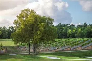 $623,037 | 10029 Larkin Cove, Willis, TX 77318