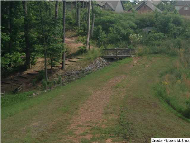 4643 Deer Foot Path Pinson, AL 35126 - Photo 5 of 5