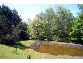 1696 Winch Hill Road Northfield, VT 05663 - Photo 3 of 5