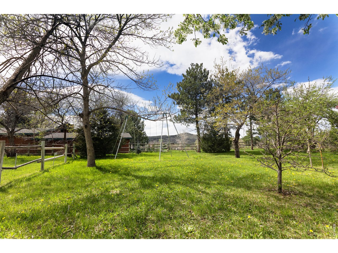5575 St Vrain Road Longmont, CO 80503 - Photo 39 of 50 Apple orchard swing set with sunset views