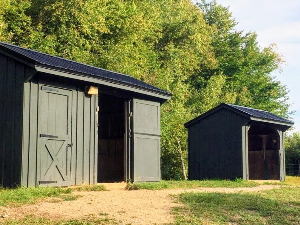 138 Bray Hill Road Phillips, ME 04966 - Photo 68 of 101 New Metal Roof on Sheds in Summer 2025!