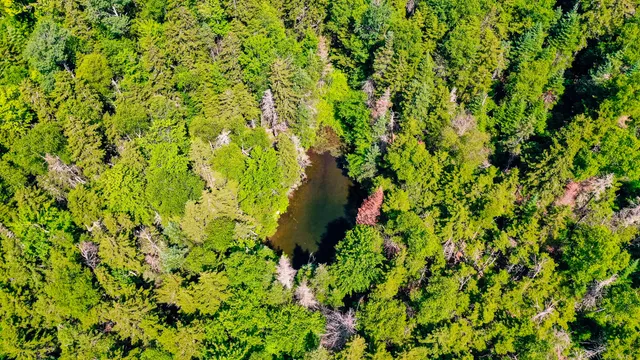 $995,000 | 138 Bray Hill Road, Phillips, ME 04966