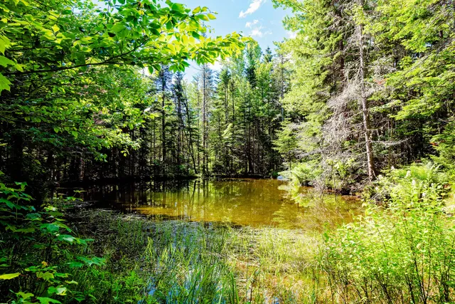 $995,000 | 138 Bray Hill Road, Phillips, ME 04966