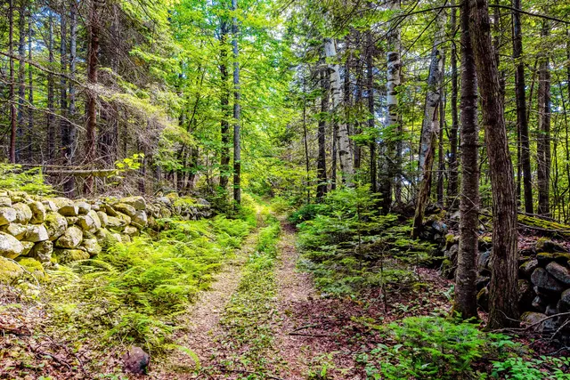 $995,000 | 138 Bray Hill Road, Phillips, ME 04966