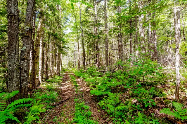 $995,000 | 138 Bray Hill Road, Phillips, ME 04966