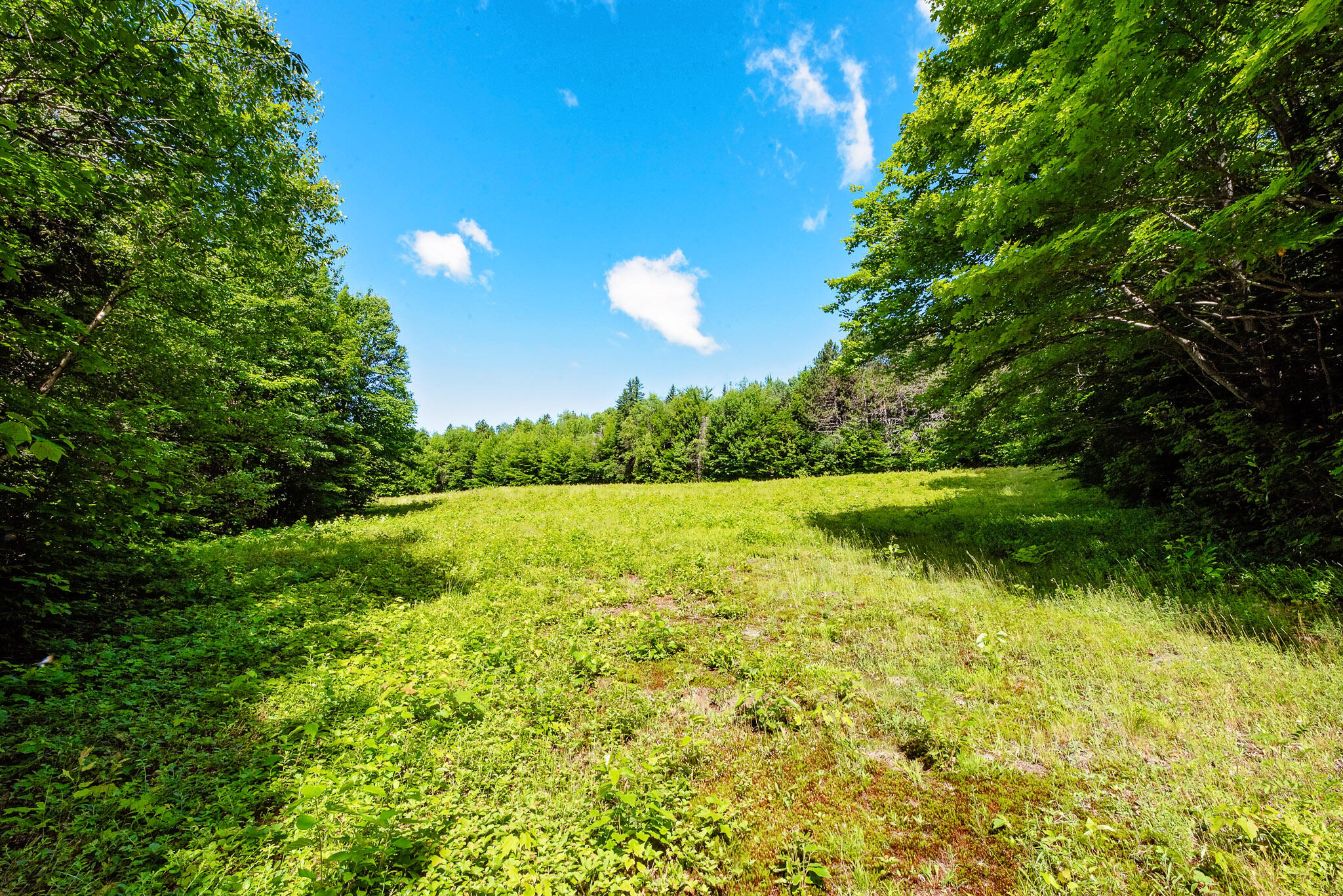 138 Bray Hill Road Phillips, ME 04966 - Photo 79 of 101 3 Acres of Blueberry Fields