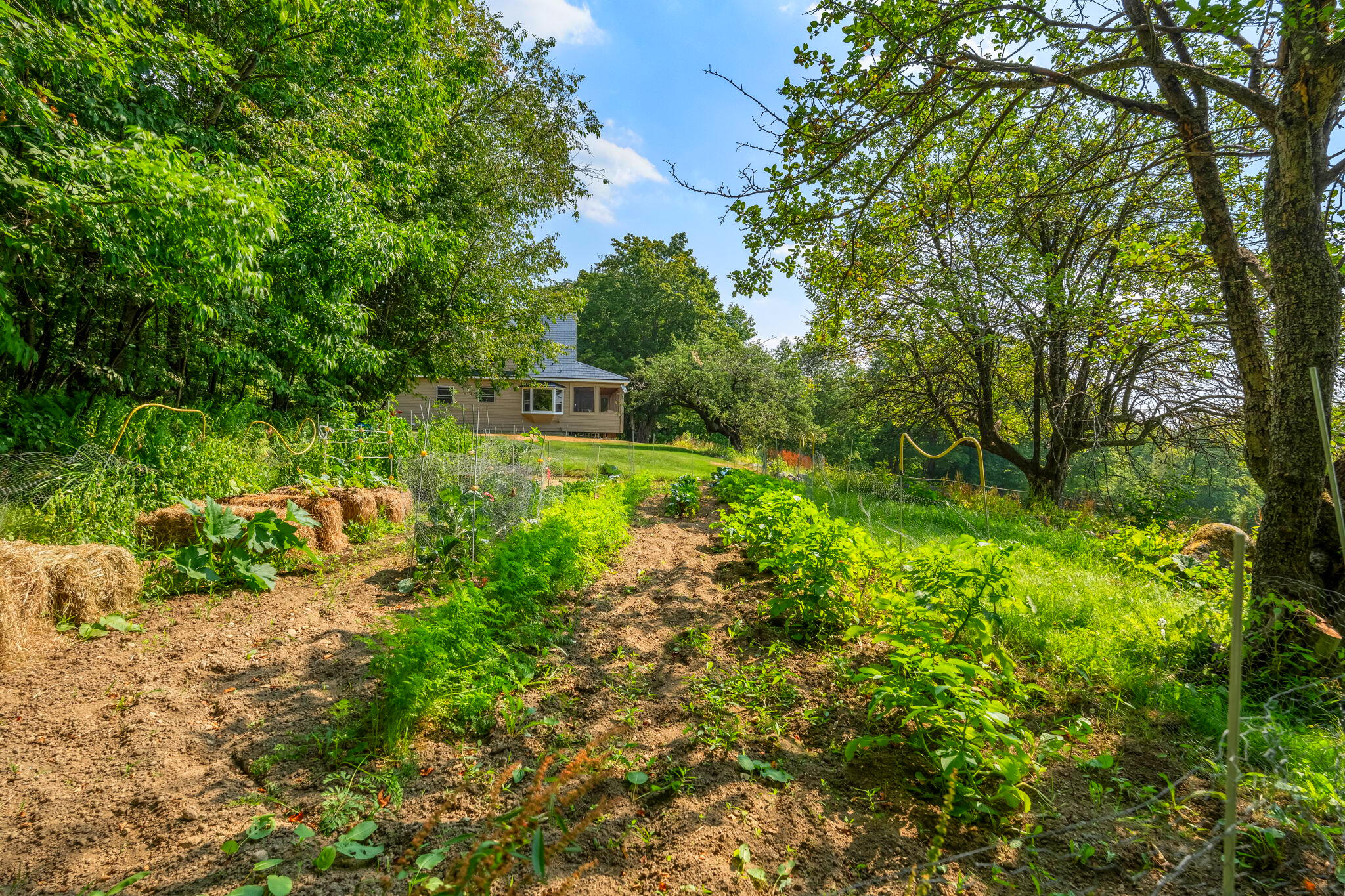 138 Bray Hill Road Phillips, ME 04966 - Photo 82 of 101 Gardens