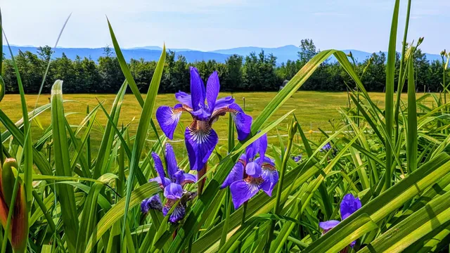 $995,000 | 138 Bray Hill Road, Phillips, ME 04966