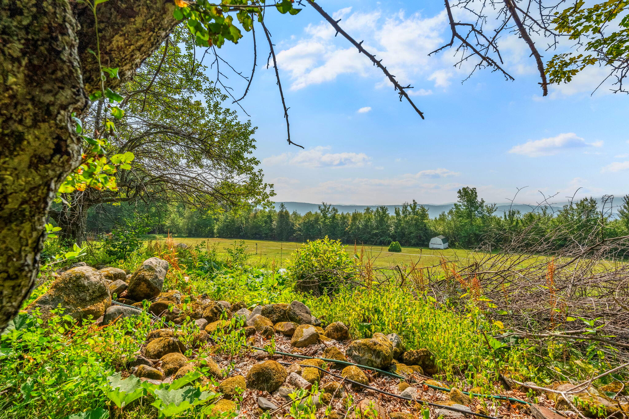 138 Bray Hill Road Phillips, ME 04966 - Photo 89 of 101 Bray Hill Farm