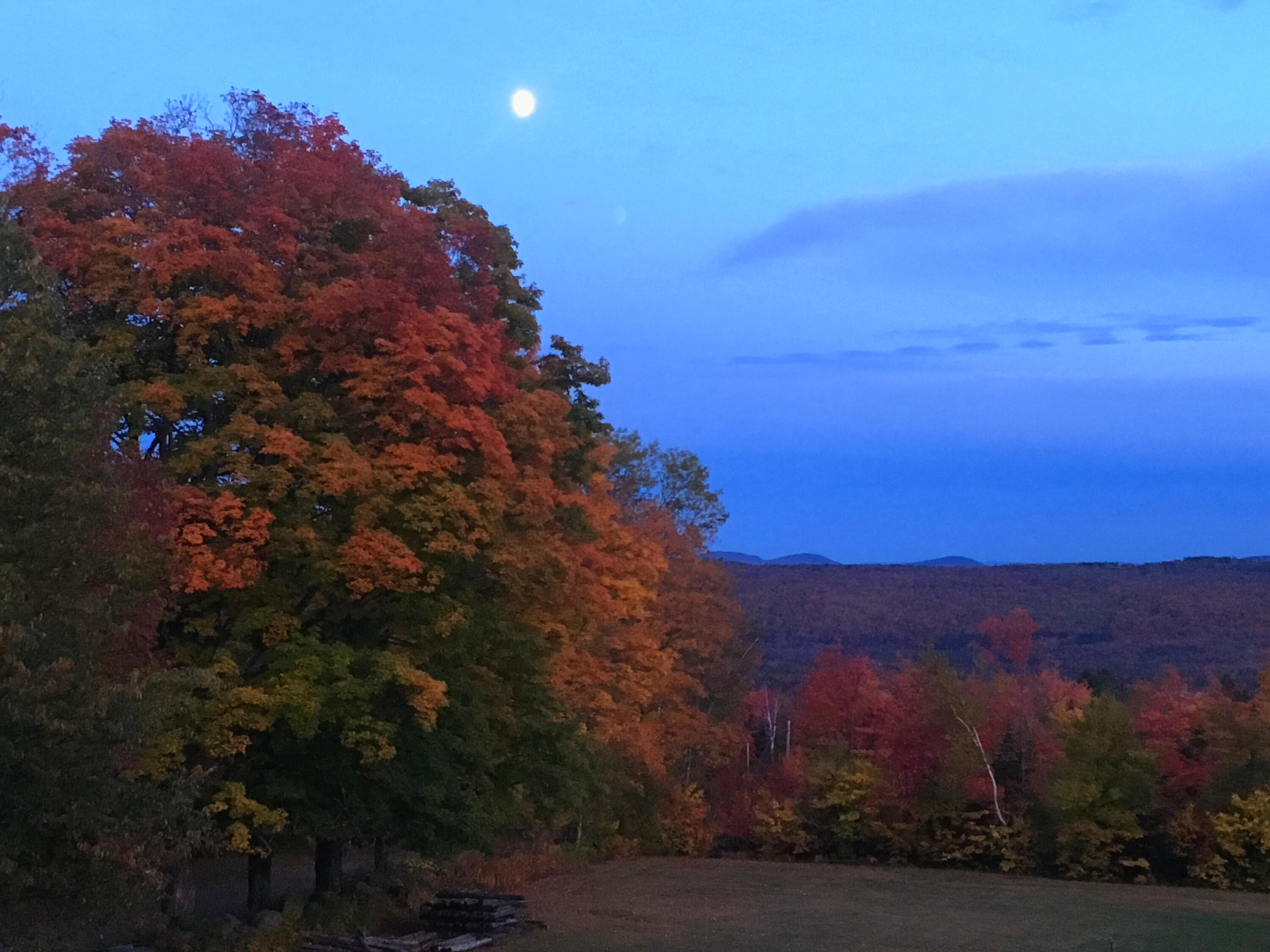 138 Bray Hill Road Phillips, ME 04966 - Photo 91 of 101 Autumn Moonrise