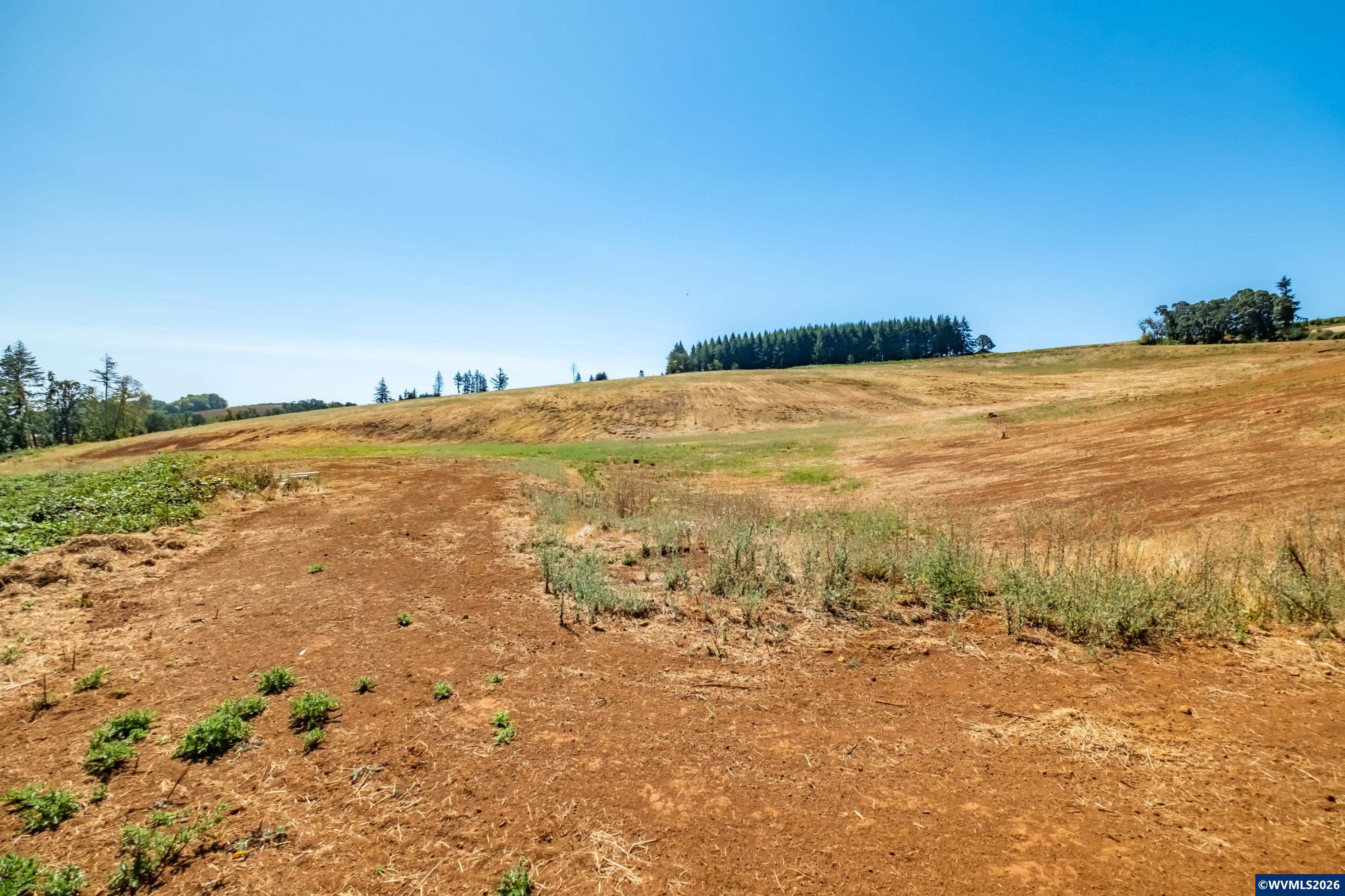 Lot 1 Best (model B) Road Salem, OR 97304 - Photo 43 of 45 Gallery Image 43