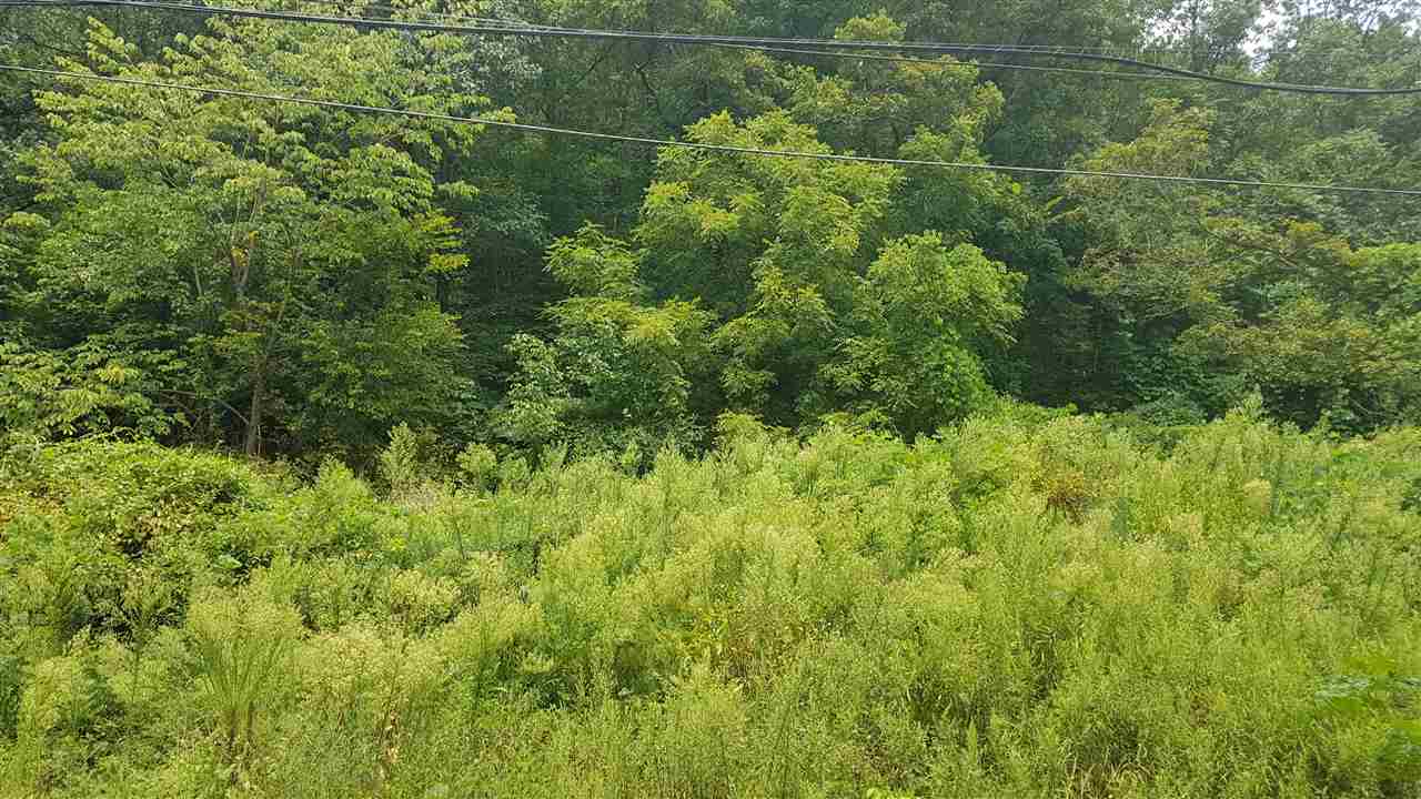 0 Big Sandy River Road Fort Gay, WV 25514 - Photo 6 of 7 Gallery Image 6