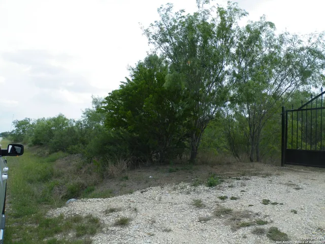 a view of backyard with green space