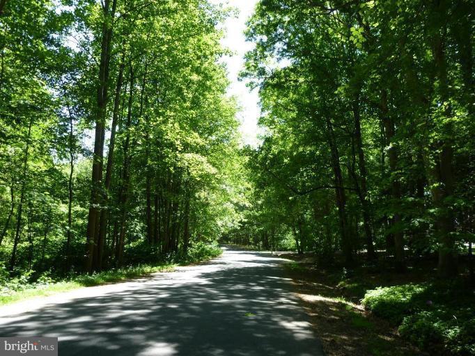 11615 Foxclove Road Reston, VA 20191 - Photo 29 of 30 a view of a tree with a yard