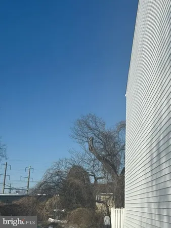 a view of a yard