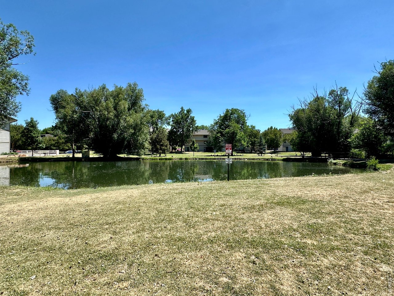 1705 Heatheridge Road, Unit 205 Fort Collins, CO 80526 - Photo 14 of 17 Community lake (fishing allowed)!