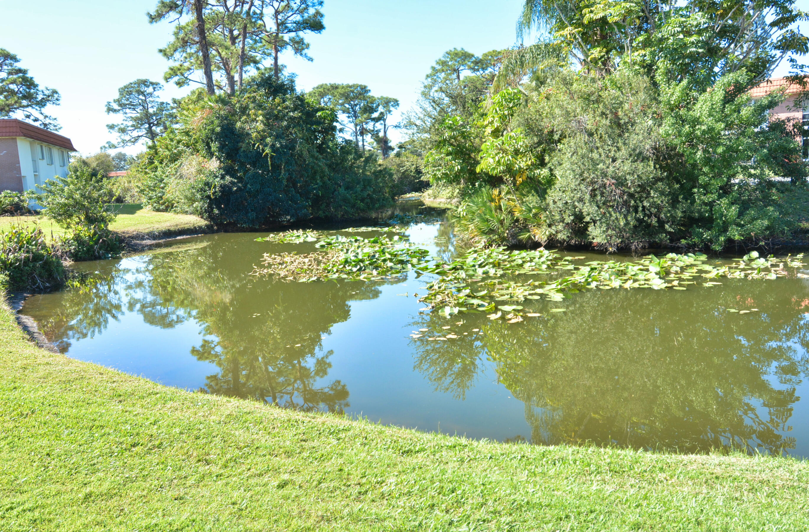 1225 Northwest 21st Street, Unit 203 Stuart, FL 34994 - Photo 36 of 44 a view of a lake from a yard