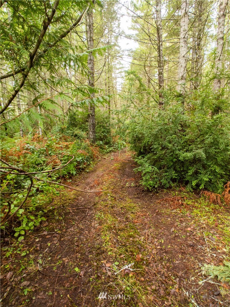 40 Mason Lake Road Grapeview, WA 98546 - Photo 11 of 21 Gallery Image 11