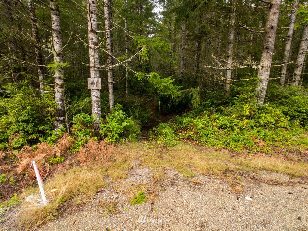 40 Mason Lake Road Grapeview, WA 98546 - Photo 12 of 21 Gallery Image 12