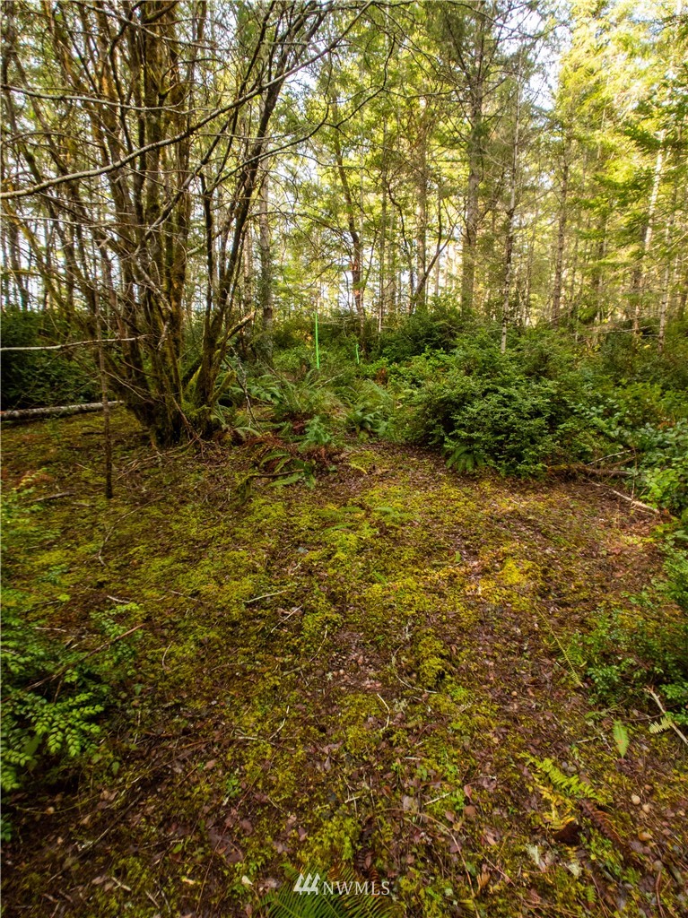 40 Mason Lake Road Grapeview, WA 98546 - Photo 16 of 21 Gallery Image 16