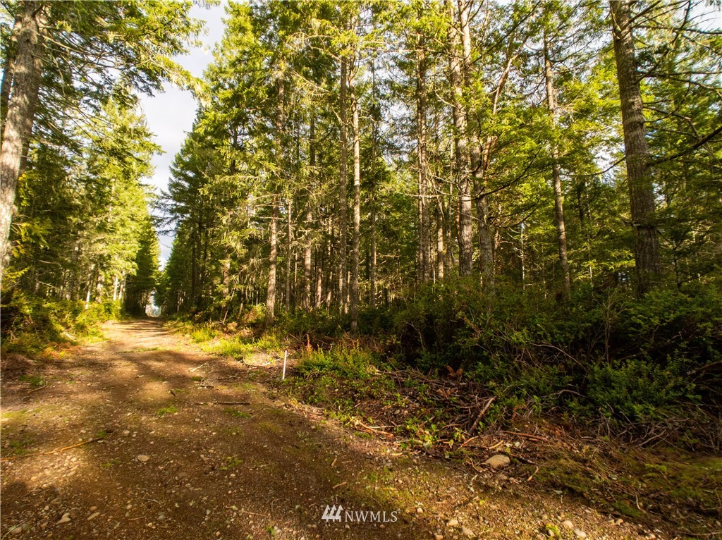 40 Mason Lake Road Grapeview, WA 98546 - Photo 18 of 21 Gallery Image 18