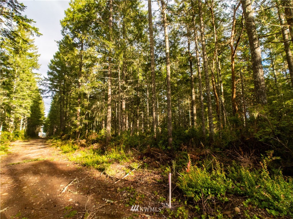 40 Mason Lake Road Grapeview, WA 98546 - Photo 20 of 21 Gallery Image 20