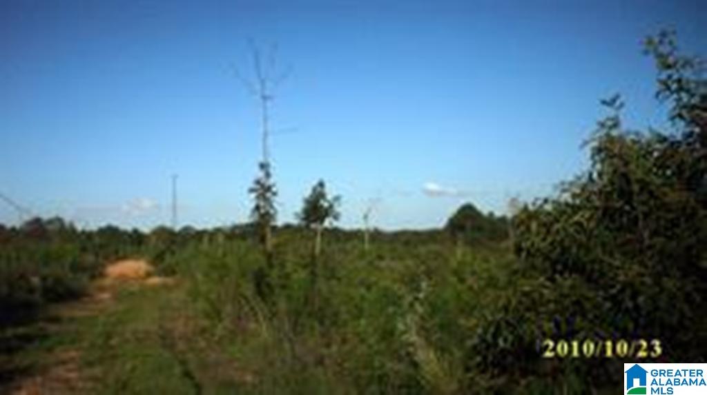 Eureka Road, Unit 1 Lincoln, AL 35096 - Photo 22 of 34
