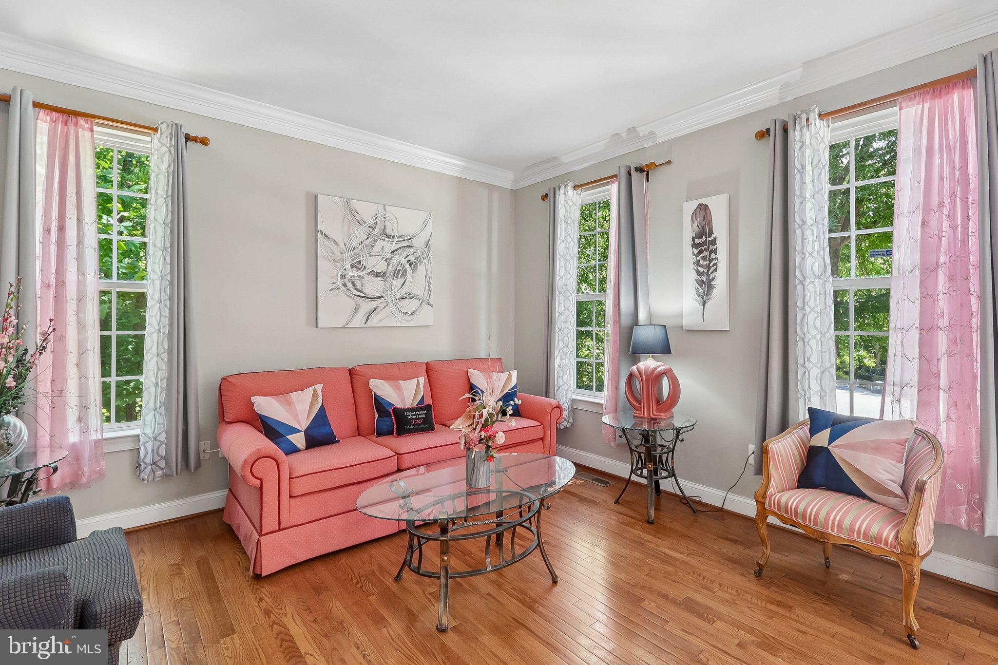 9003 Eldon Drive Clinton, MD 20735 - Photo 5 of 54 Bright and inviting living space.