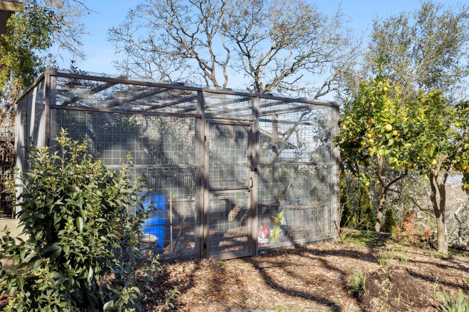 160 Crest Road Novato, CA 94945 - Photo 82 of 85 a view of a pathway with a yard