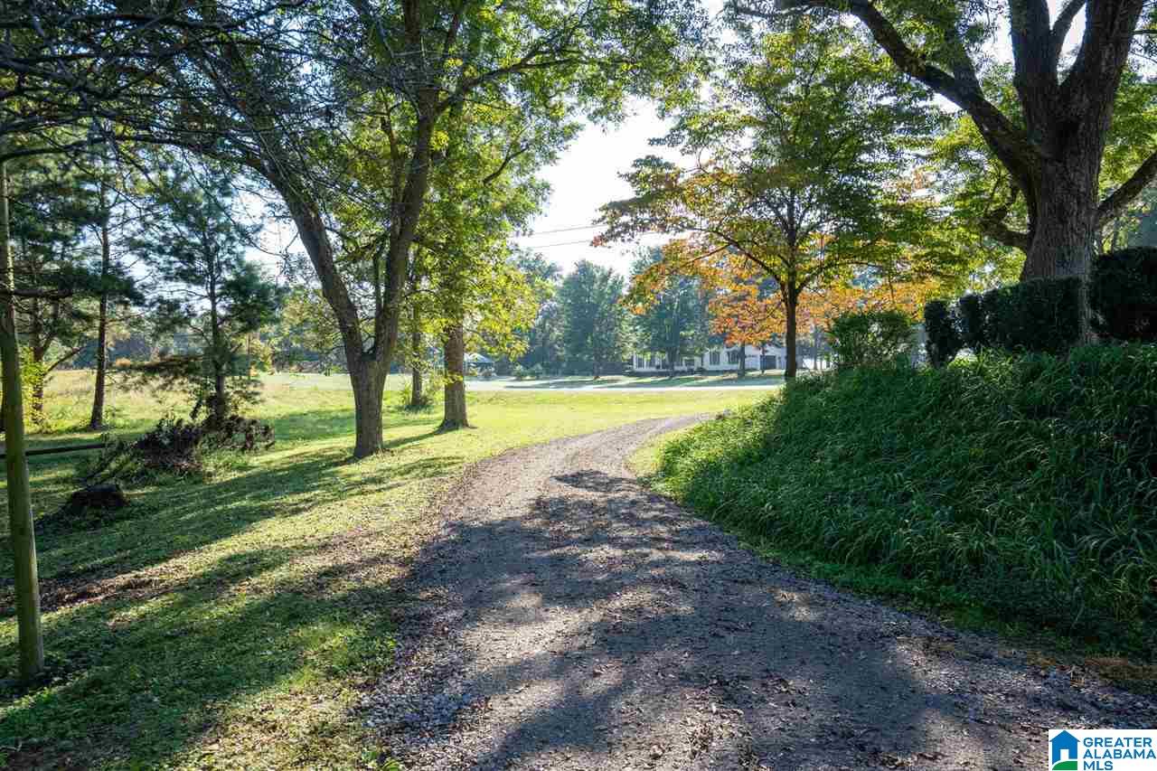 1697 Robin Hill Road Oneonta, AL 35121 - Photo 37 of 50