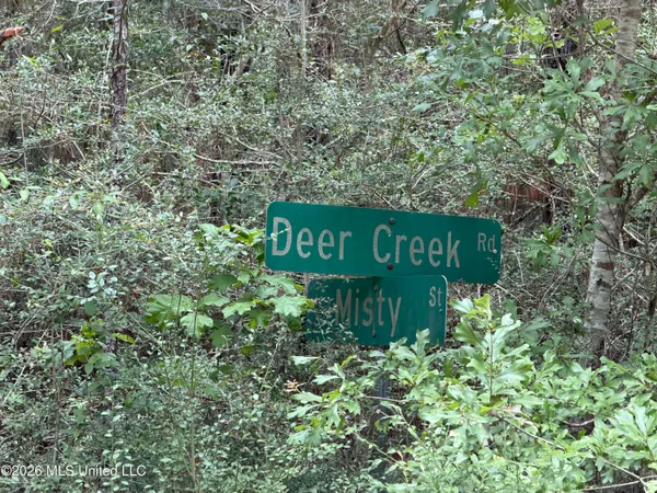 $15,000 | Misty Lane, Lumberton, MS 39455