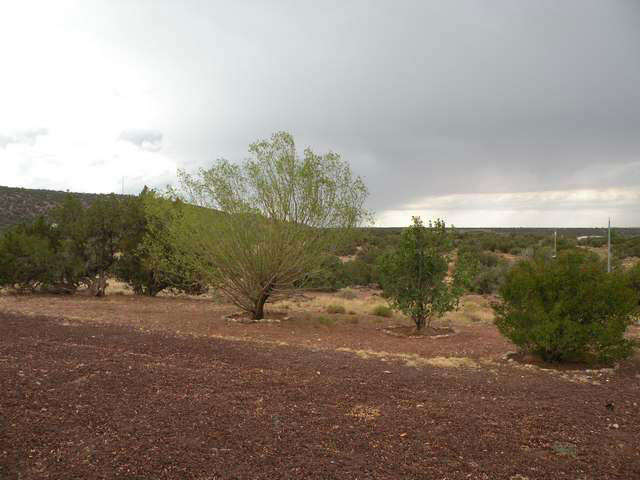 4674 Damron Valley Road Snowflake, AZ 85937 - Photo 11 of 19 a view of a road with mountains in the background