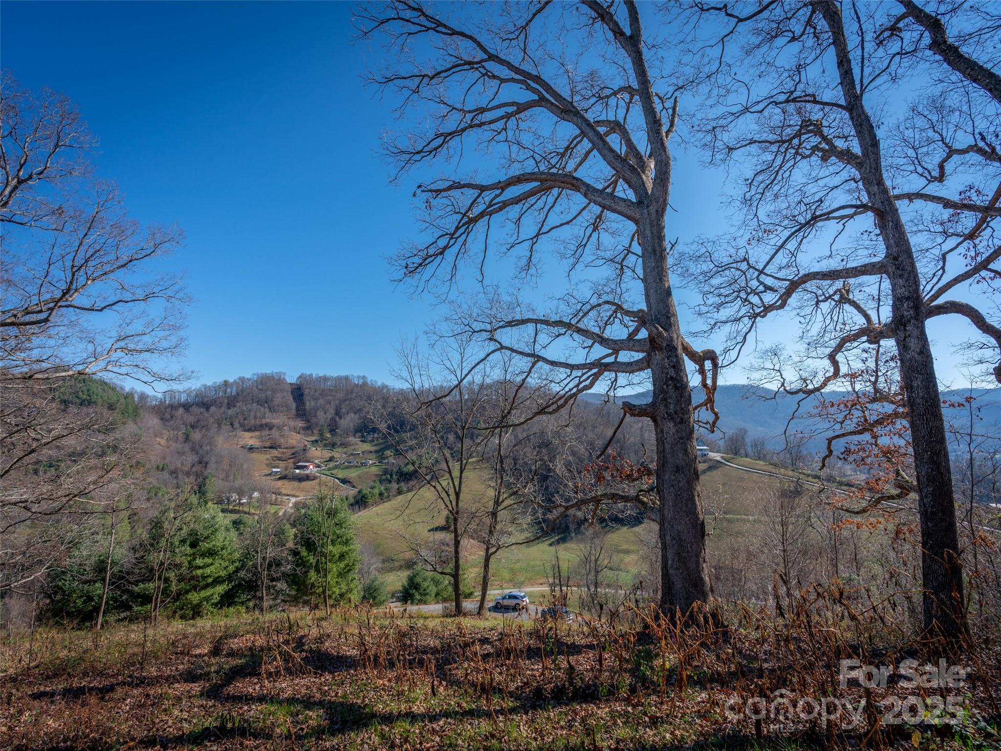 0 Laurel Ridge Drive, Unit 10 Waynesville, NC 28786 - Photo 12 of 20 a view of a backyard with large trees