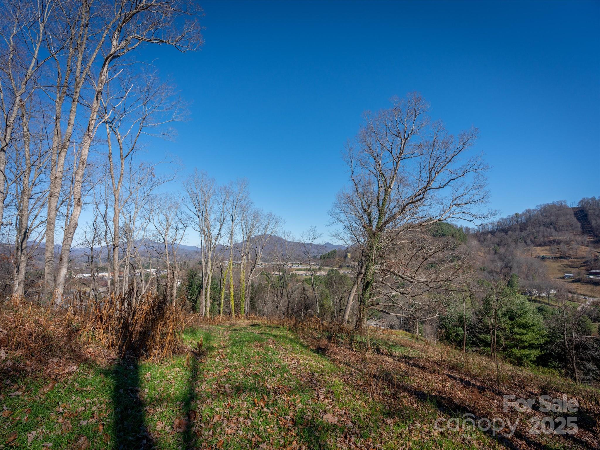 0 Laurel Ridge Drive, Unit 10 Waynesville, NC 28786 - Photo 13 of 20 a view of a yard with a tree