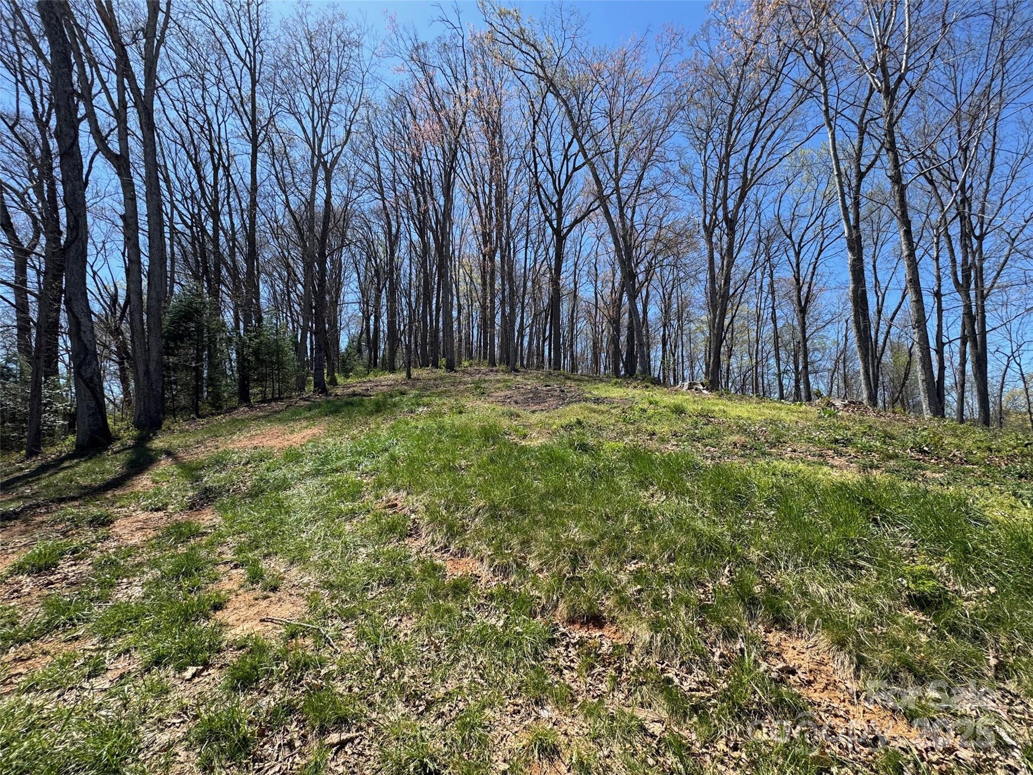 0 Laurel Ridge Drive, Unit 10 Waynesville, NC 28786 - Photo 17 of 20 a big yard with lots of green space and trees
