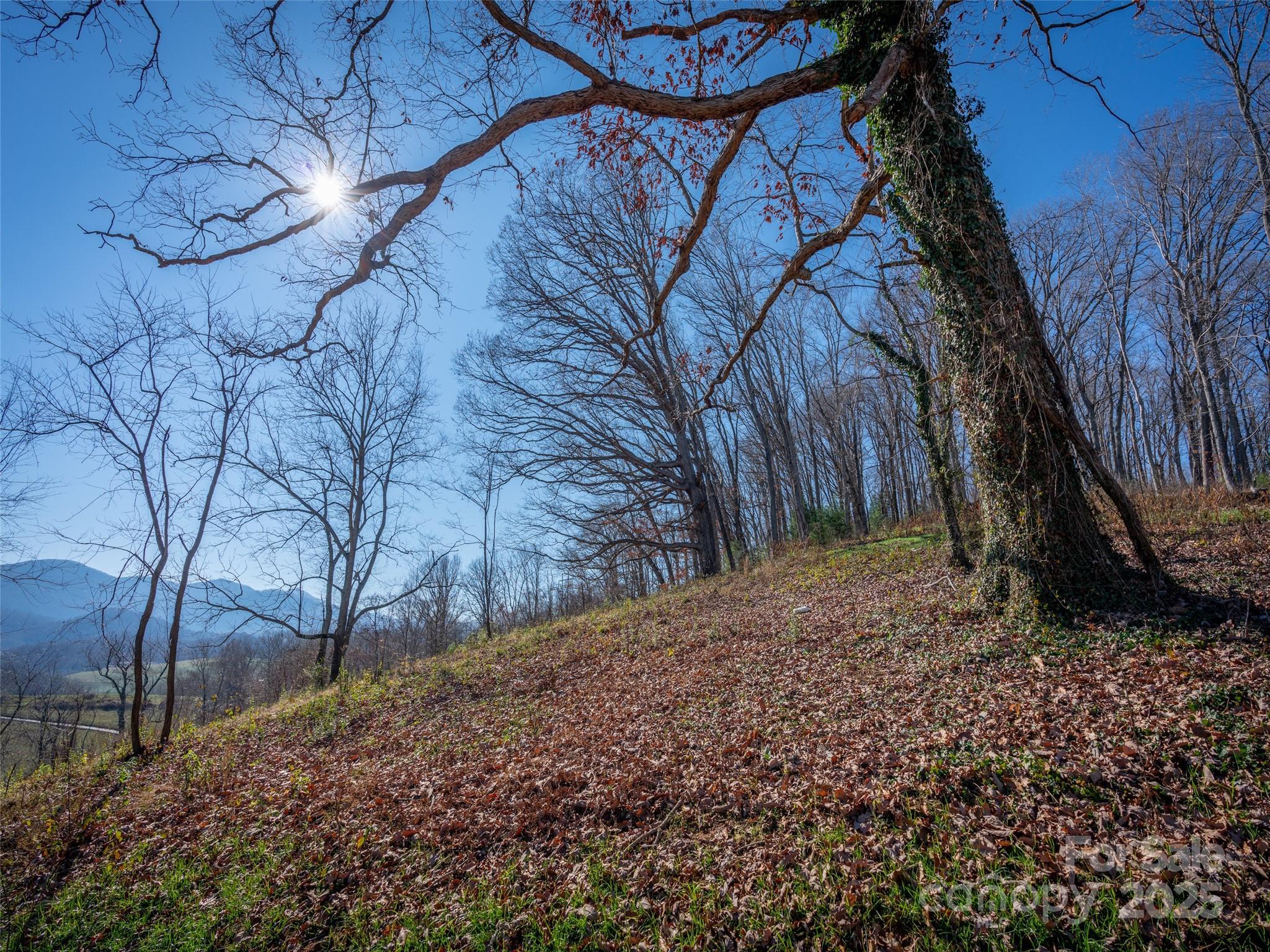 0 Laurel Ridge Drive, Unit 10 Waynesville, NC 28786 - Photo 18 of 20 a backyard of a house with lots of green space