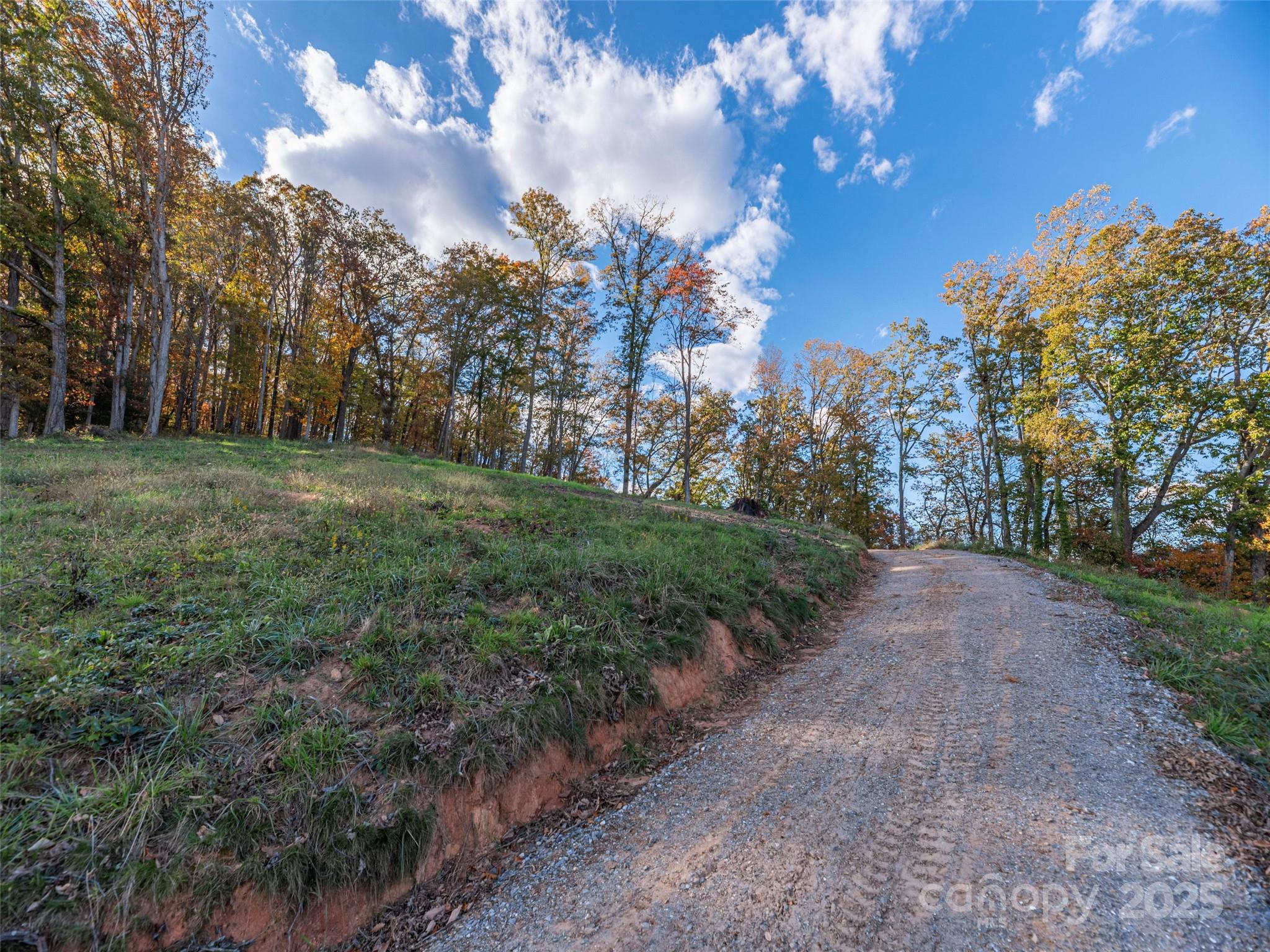 0 Laurel Ridge Drive, Unit 10 Waynesville, NC 28786 - Photo 4 of 20 a view of a yard with plants and trees