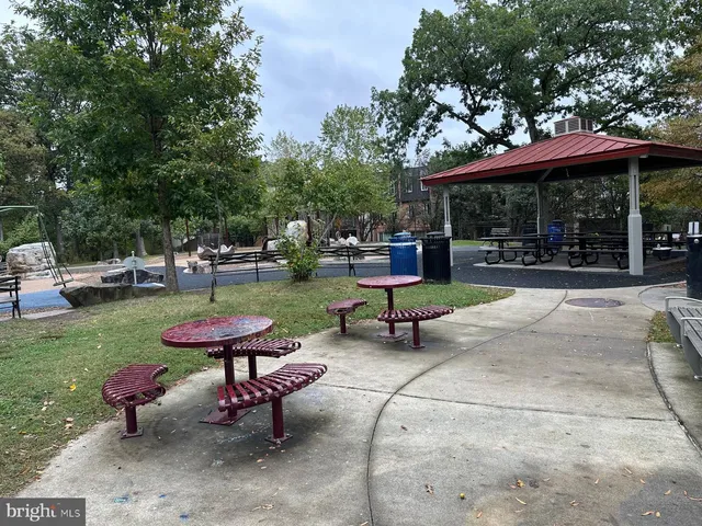 a view of a yard with plants and large trees