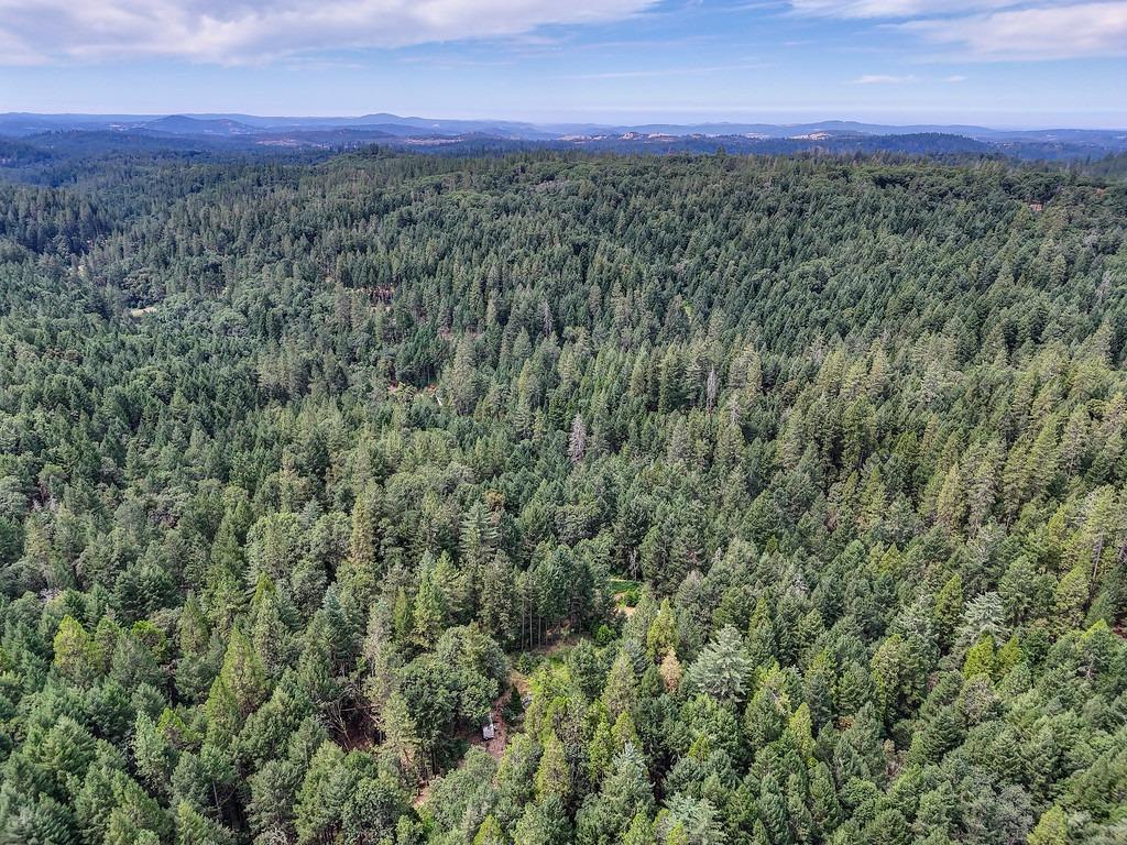 0 Marshall Road Georgetown, CA 95634 - Photo 11 of 15