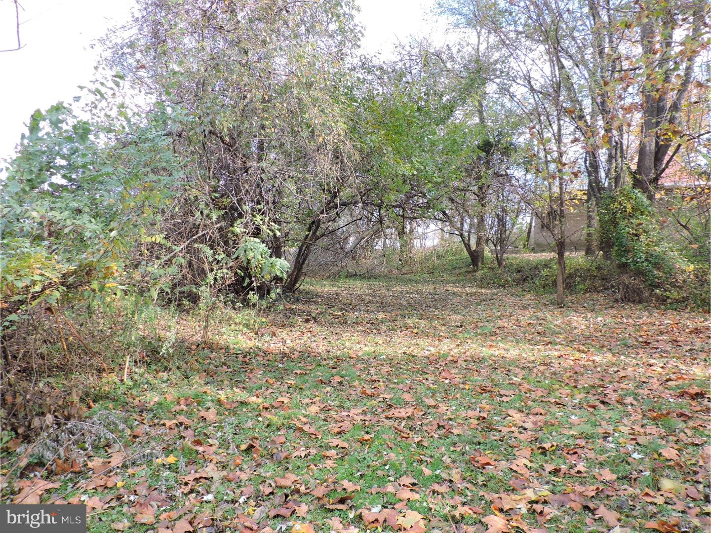 31 Linden Road Burlington, NJ 08016 - Photo 9 of 10 Back Yard