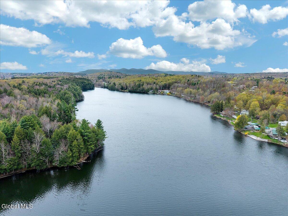 187 Lake Road Westerlo, NY 12023 - Photo 63 of 79 64-DJI_20260428153559_0436_D