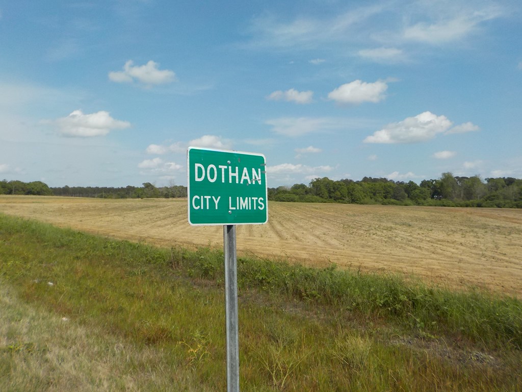 5.3-ac Memphis Church Road Dothan, AL 36301 - Photo 21 of 29