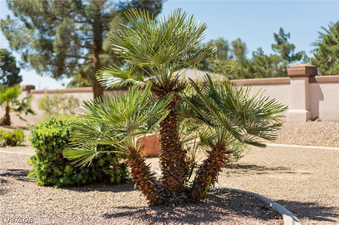 4941 Black Bear Road, Unit 204 Las Vegas, NV 89149 - Photo 43 of 52