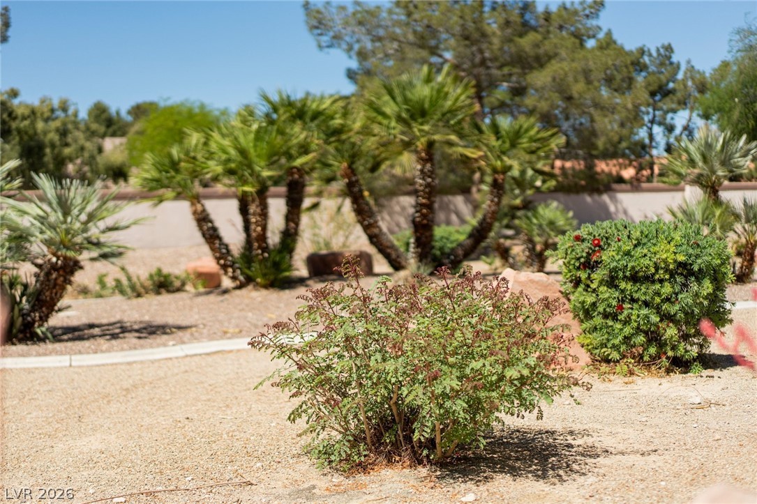 4941 Black Bear Road, Unit 204 Las Vegas, NV 89149 - Photo 44 of 52