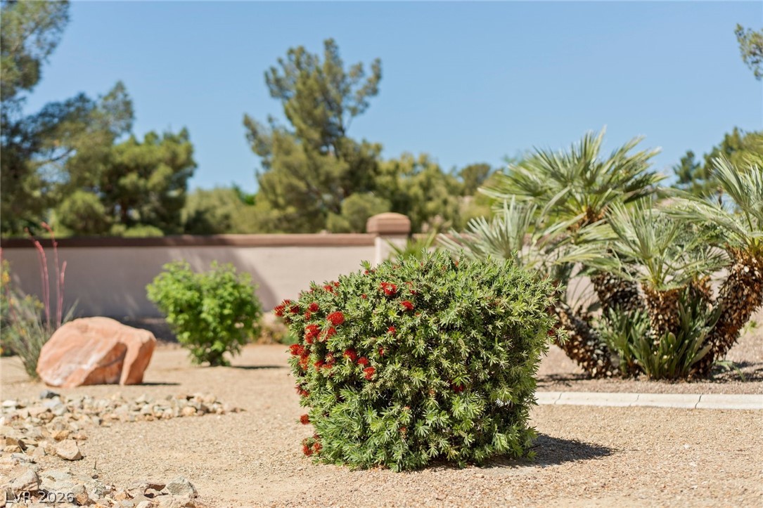 4941 Black Bear Road, Unit 204 Las Vegas, NV 89149 - Photo 45 of 52