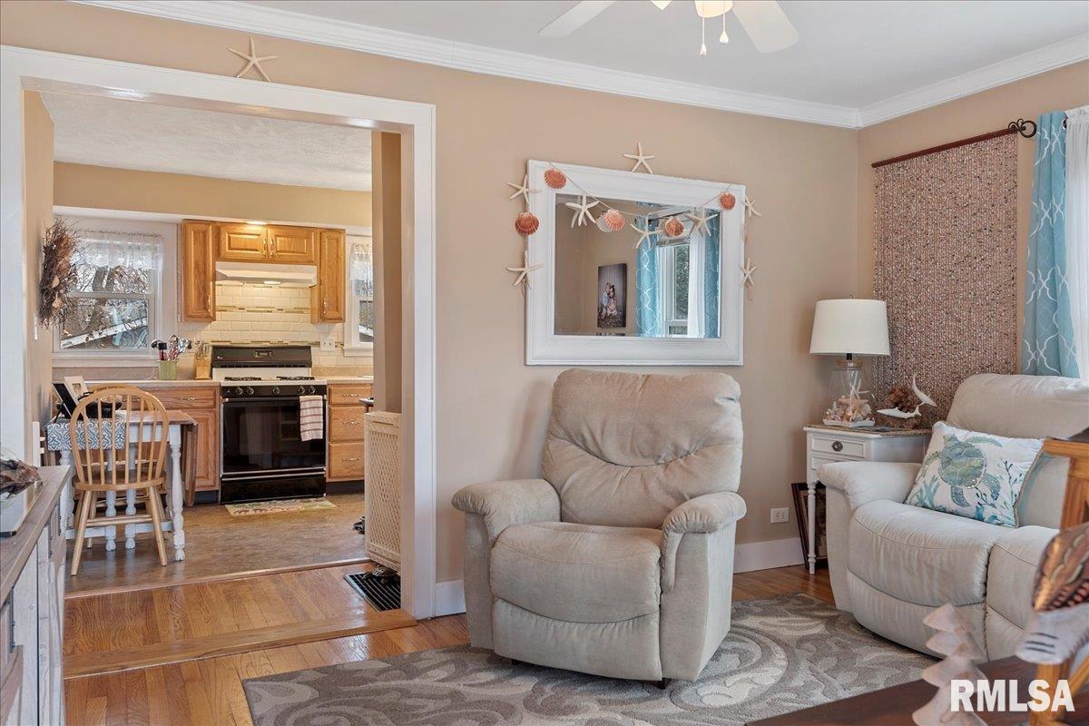 1537 Reed Avenue Springfield, IL 62704 - Photo 5 of 28 Gallery Image 5