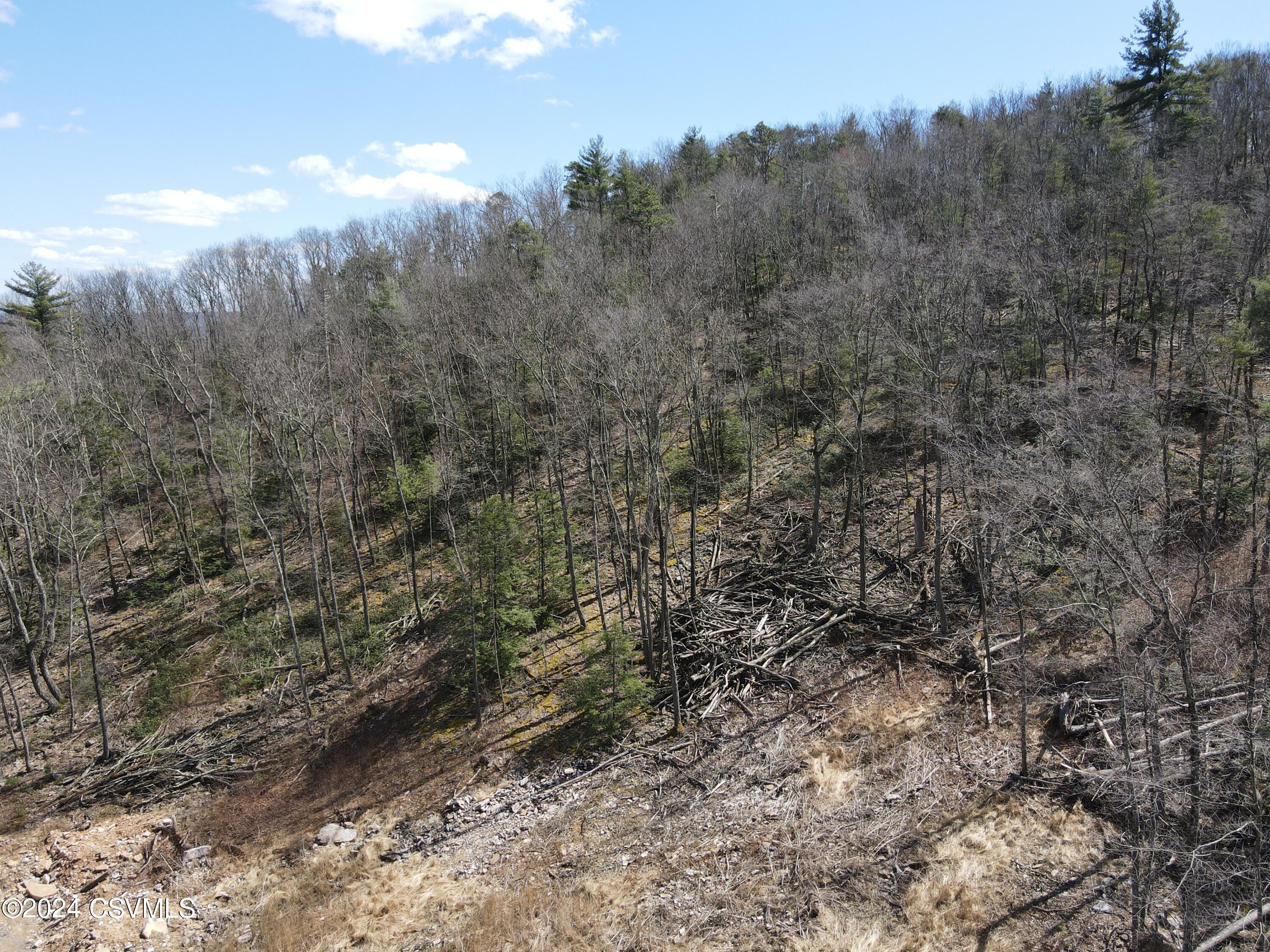 Mountain Road Mifflinburg, PA 17844 - Photo 10 of 24 Gallery Image 10