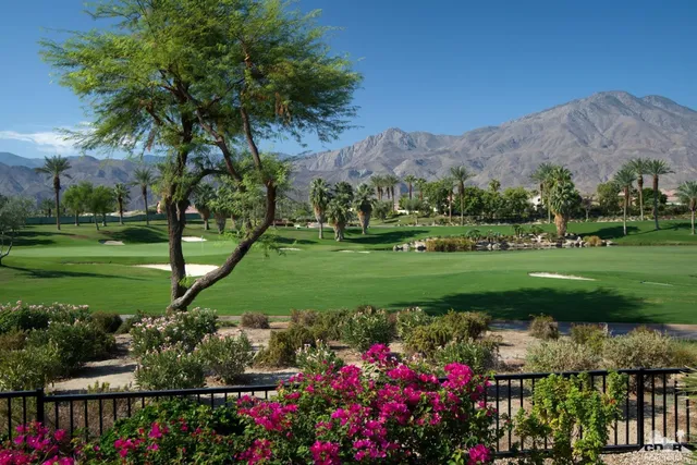 a view of a garden in front of a house