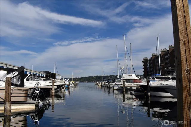 a view of a lake with boats and palm trees