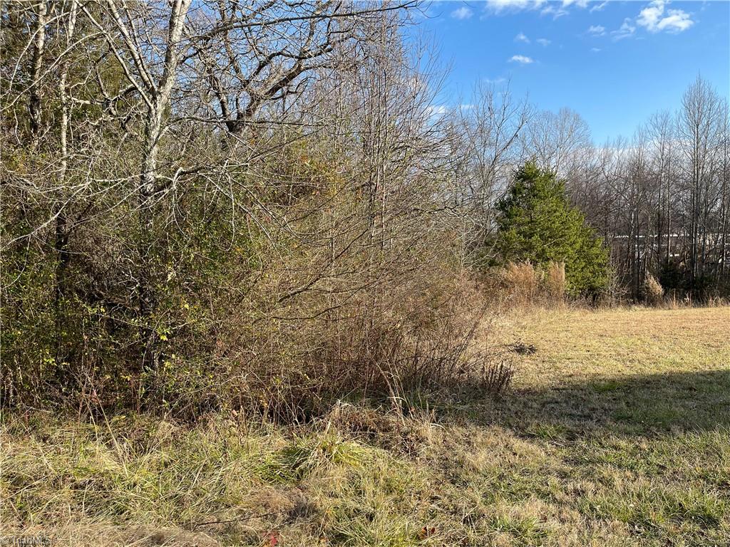 2.79-ac Calloway Road King, NC 27021 - Photo 11 of 16